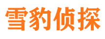 大关外遇出轨调查取证